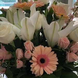 Meet your Posher, Jacqueline